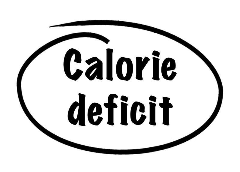 A calorie deficit supports weight loss.